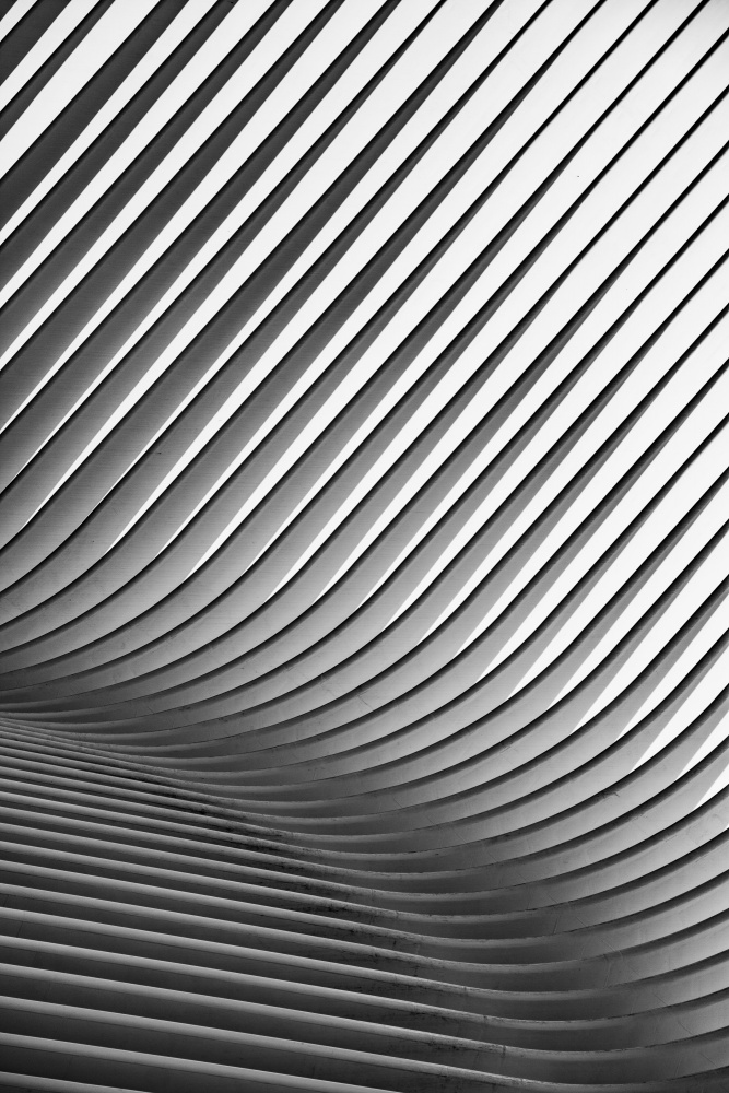 Architectural Flowing Lines by Erik Proper — canvas wall art