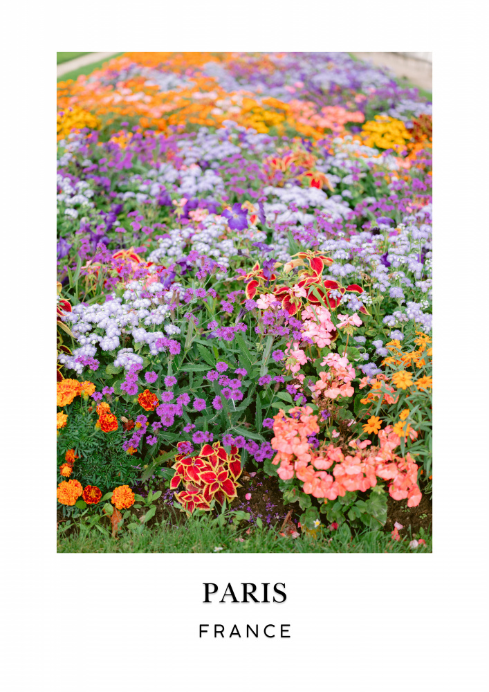 Paris Floral Travel poster by Raisa Zwart — canvas wall art