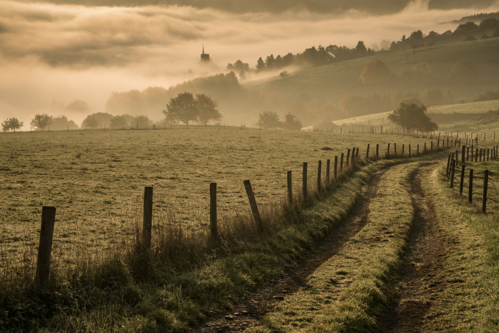Misty Morning Path by Erik Proper — canvas wall art