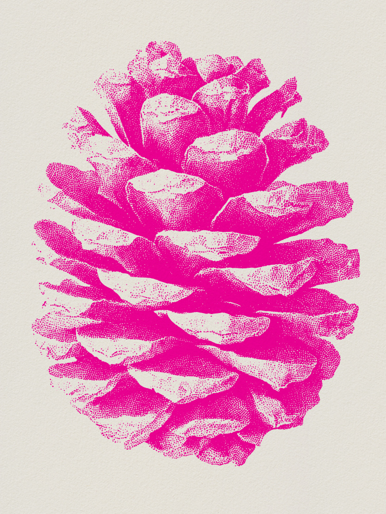 Vibrant Pink Pinecone by Andreas Magnusson — canvas wall art