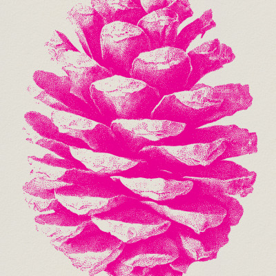 Pine Cone In Neon Pink