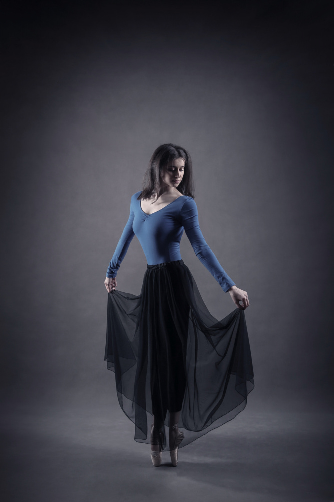 Elegant Ballet Dancer by Moein Hasheminasab — canvas wall art