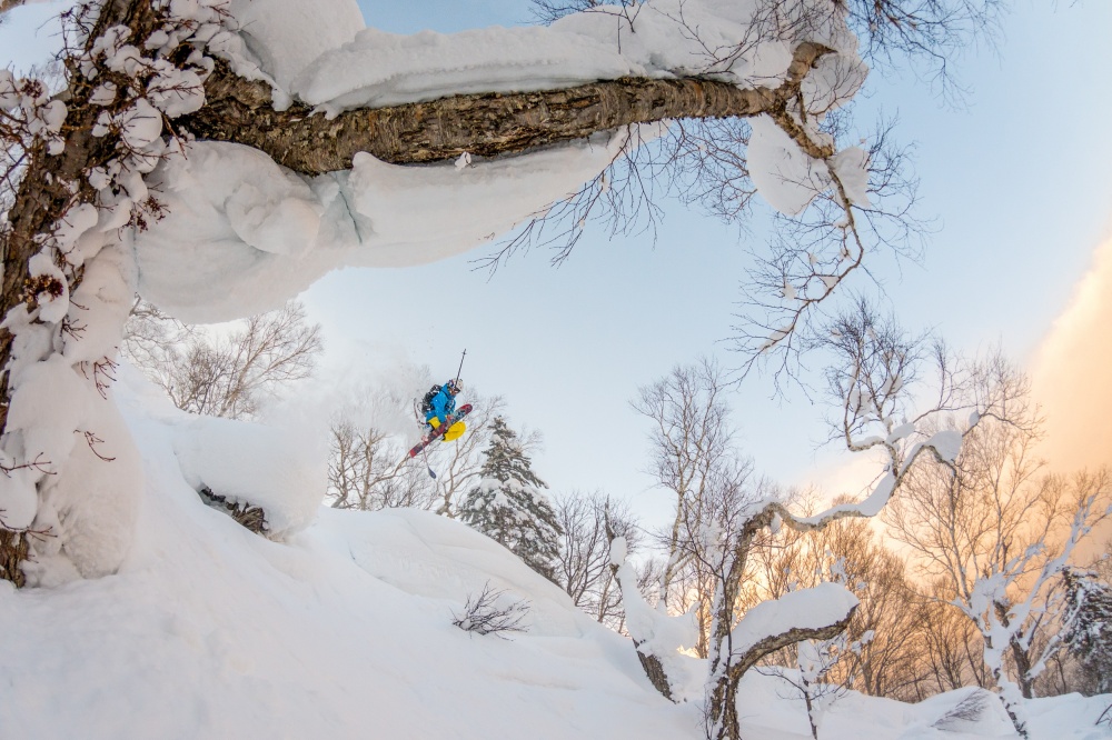 Dynamic Winter Ski Jump by Tristan Shu — canvas wall art