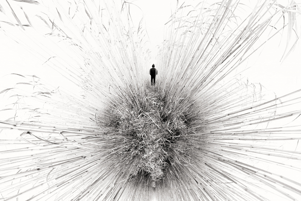 Lone Figure Amidst Reeds by Francois Casanova — canvas wall art