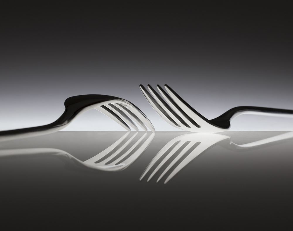 Elegant Forks Reflection by Wieteke de Kogel — canvas wall art