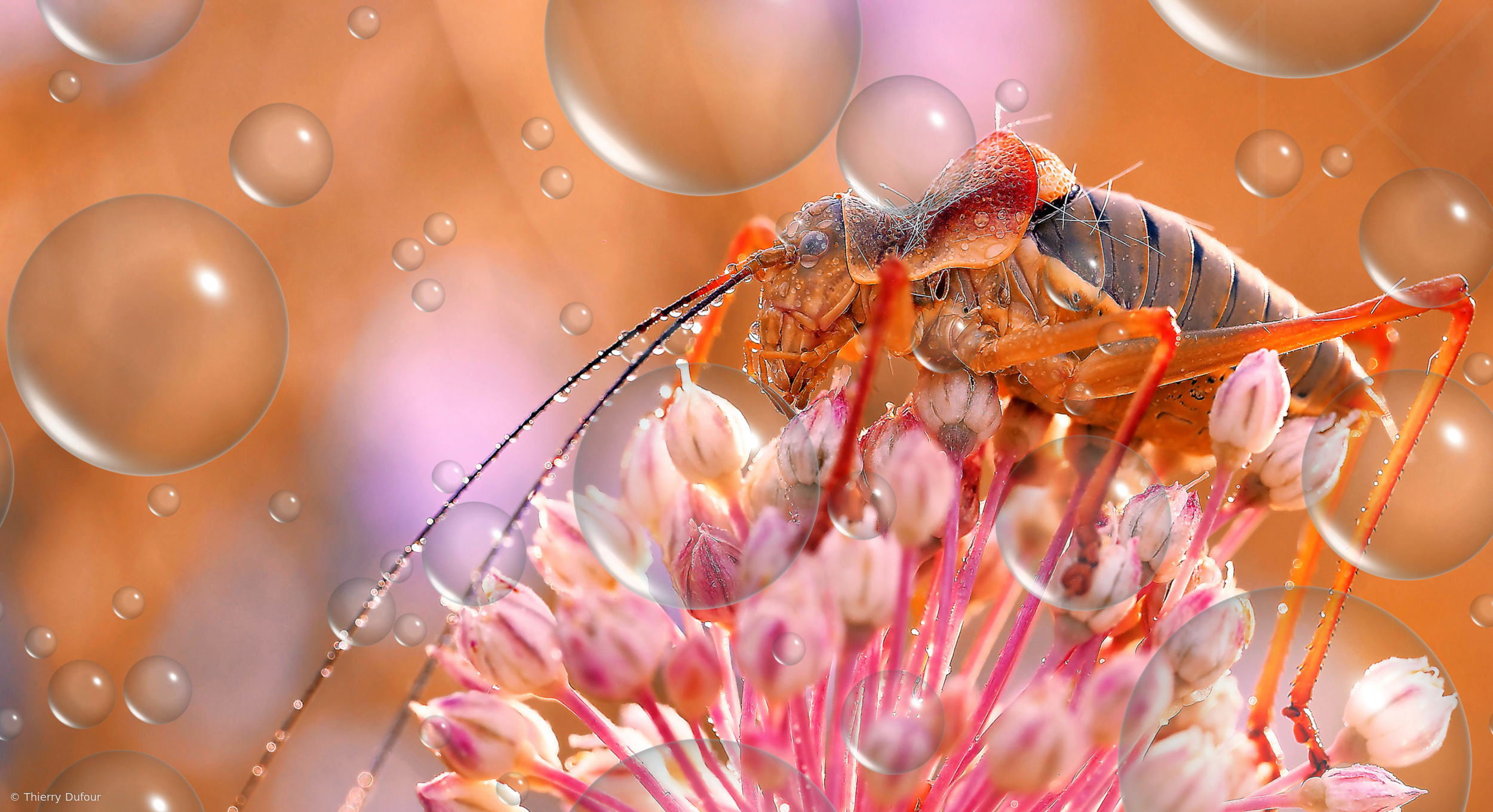 Raindrops keep fallin' on my head...