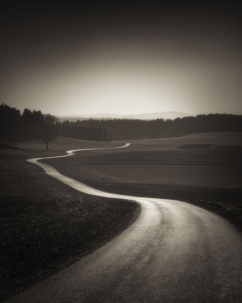 Serene Winding Road by Alexej Schulz — canvas wall art