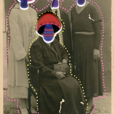 Surreal Mushroom Family