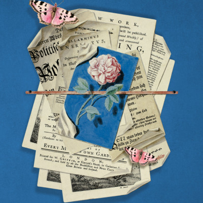 Pink Rose Surrounded By Vintage Paper