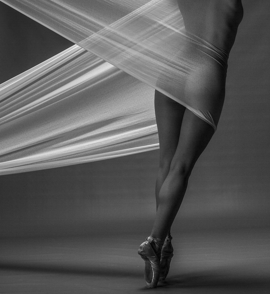Graceful Ballet Form by Malvin Jan Dyb — canvas wall art