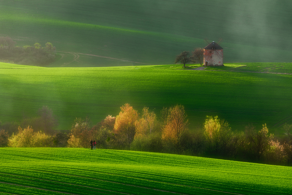 Rolling Green Fields Windmill by Tomasz Rojek — canvas wall art