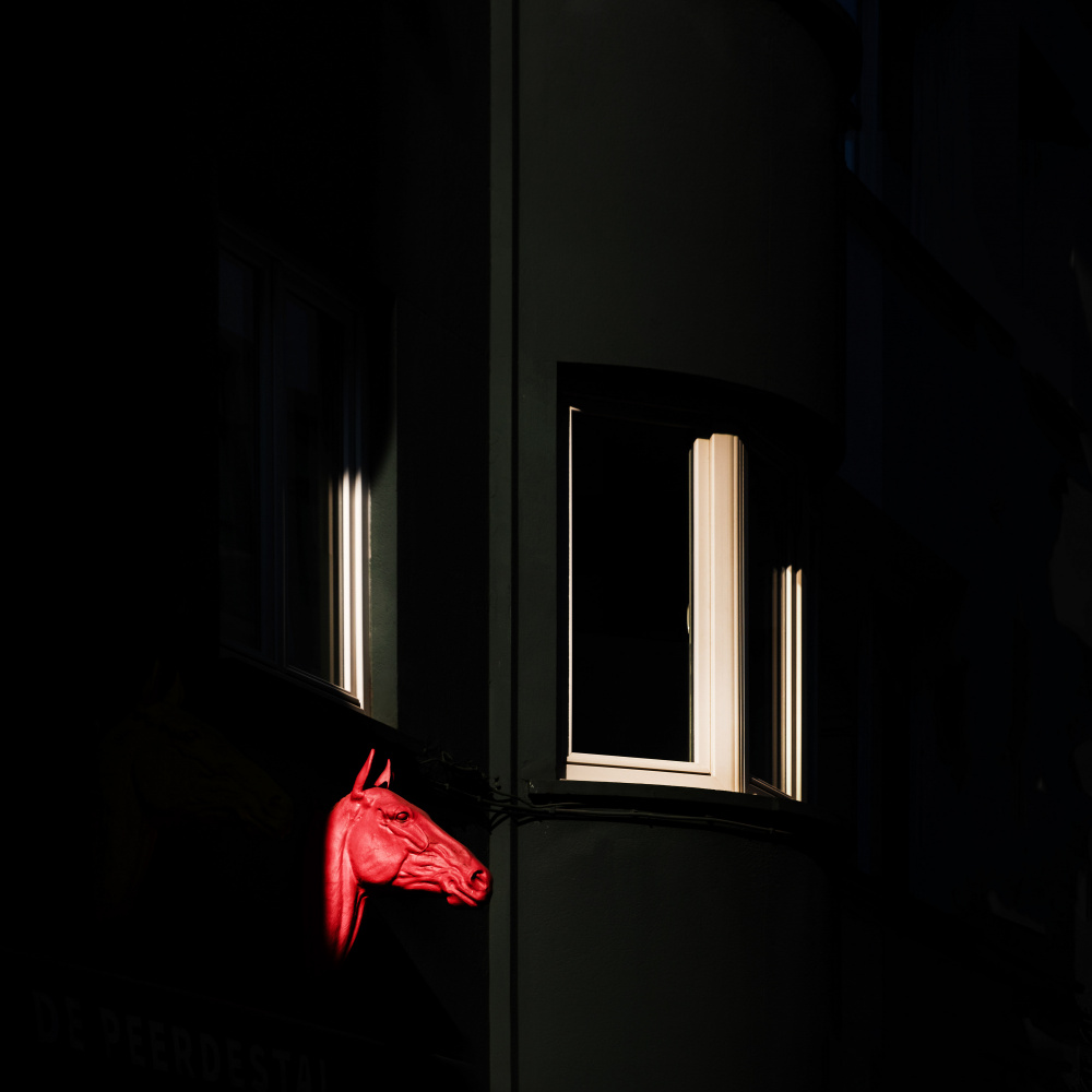 Glowing Red Horse Head by Rolf Endermann — canvas wall art
