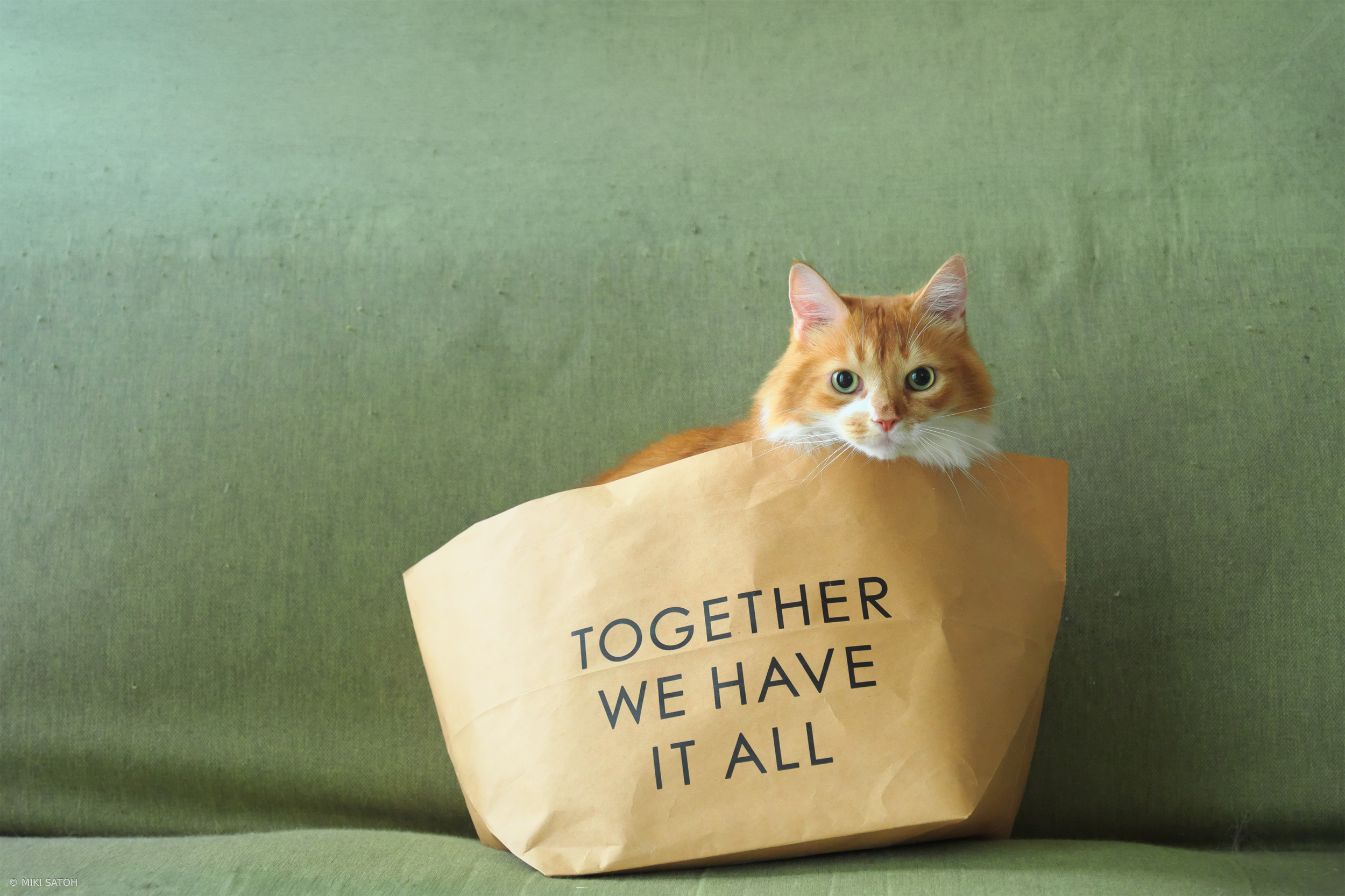Belonging