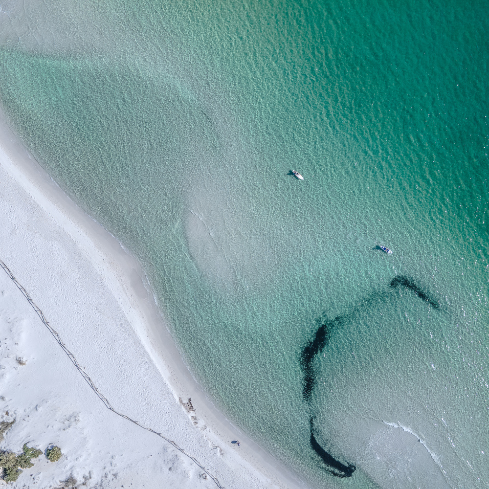 Turquoise Water Beach Paddling by Anna Kirchner — canvas wall art
