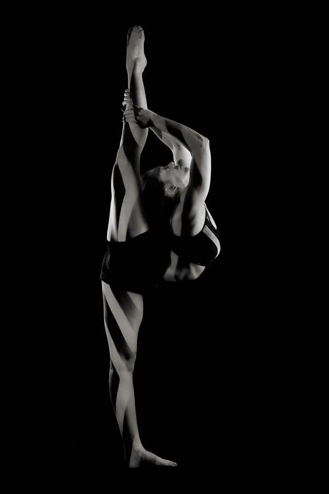 Graceful Dancer Silhouette by Howard Ashton-Jones — canvas wall art