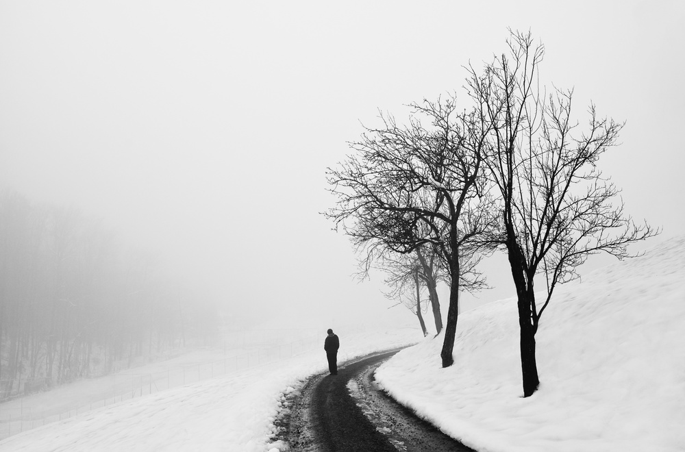 Man on Misty Path by Samanta Krivec — canvas wall art