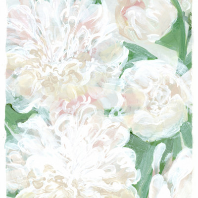 Soft White Peonies