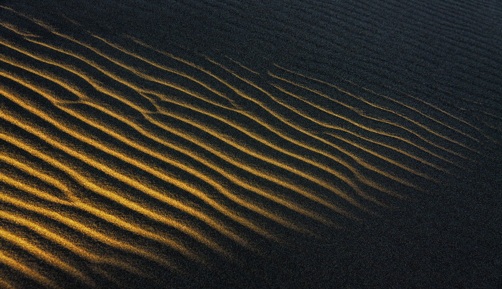 Golden Desert Ripples by Ali Barootkoob — canvas wall art