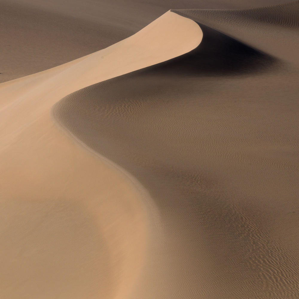 Graceful Desert Dunes by Will Nourse — canvas wall art
