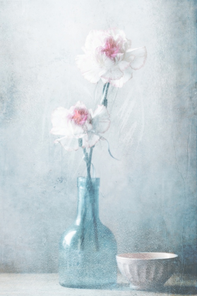 Dreamy Floral Still Life by Delphine Devos — canvas wall art