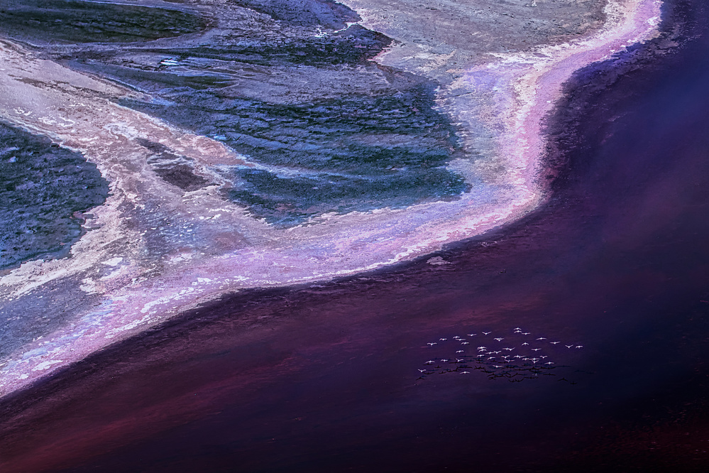 Pink Lake and Flamingos by Leah Xu — canvas wall art