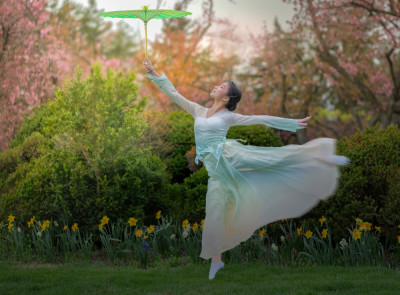 Spring dancing by Bill X. Liu