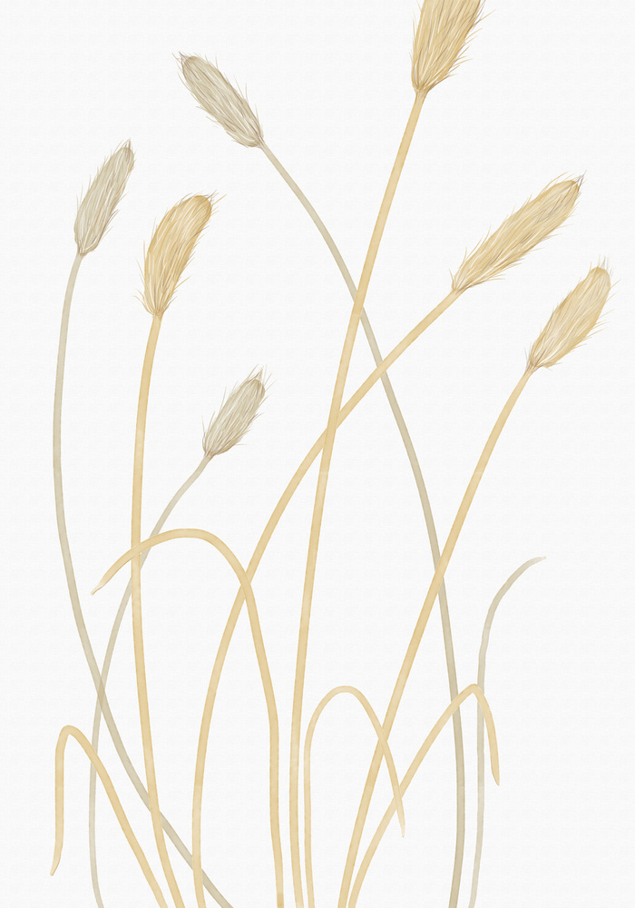 Neutral Pampas Grass by Old Artists Studio II — canvas wall art