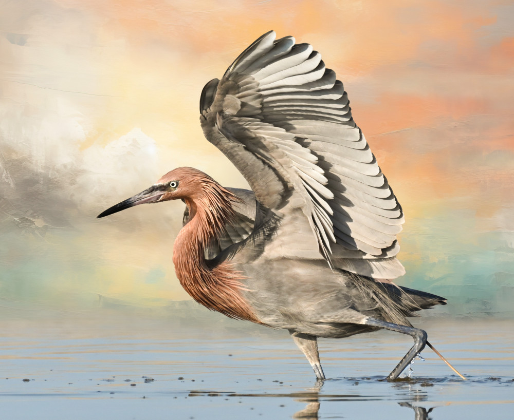Graceful Egret Wings Spread by Jane Lyons — canvas wall art