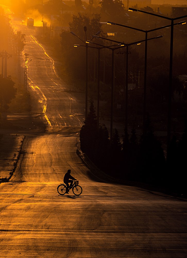 Golden Hour Cyclist by Emir Bagci — canvas wall art