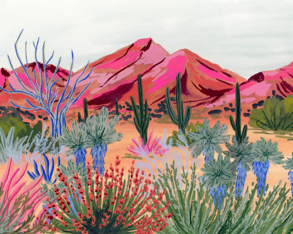 Colorful Desert Vista by Sarah Gesek — canvas wall art
