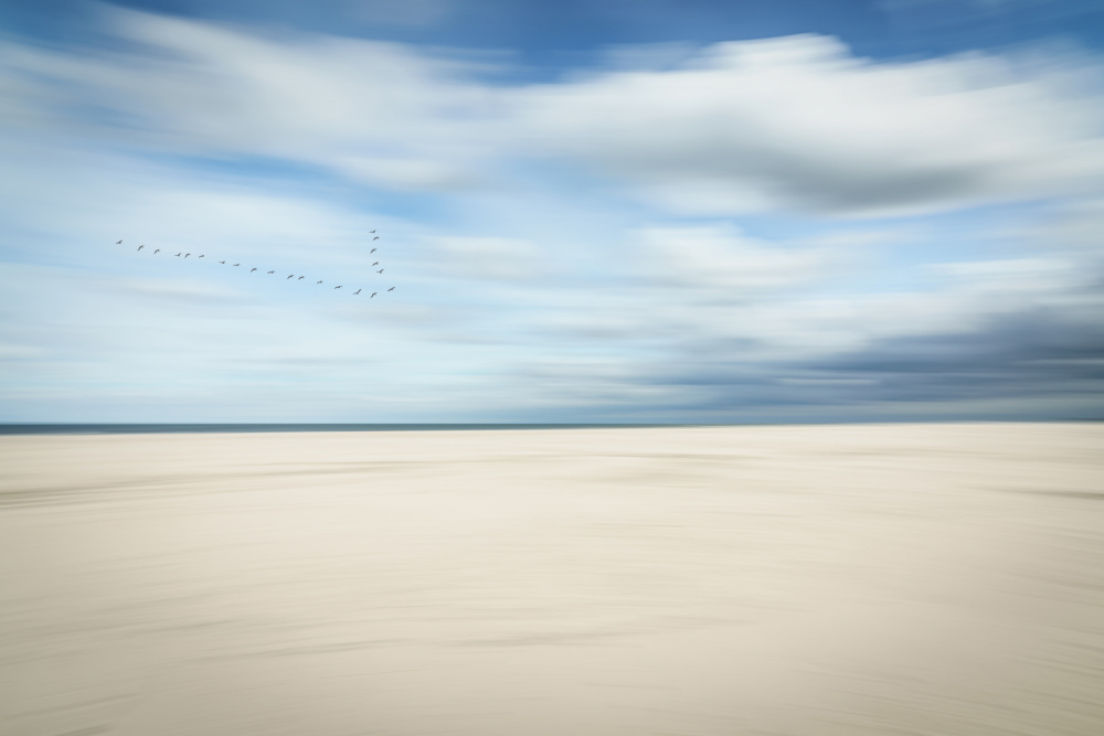 Birds Over Serene Beach by Dieter Reichelt — canvas wall art