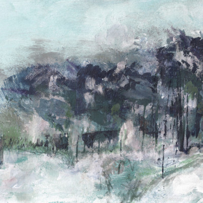 Misty Winter Forest