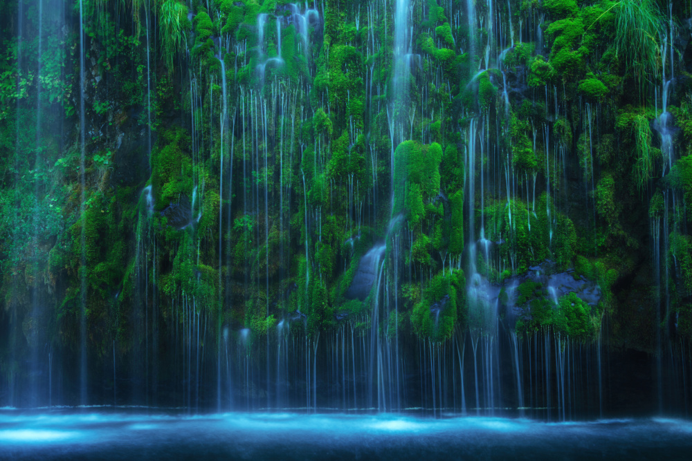 Serene Mossy Waterfall by Wei Liu — canvas wall art