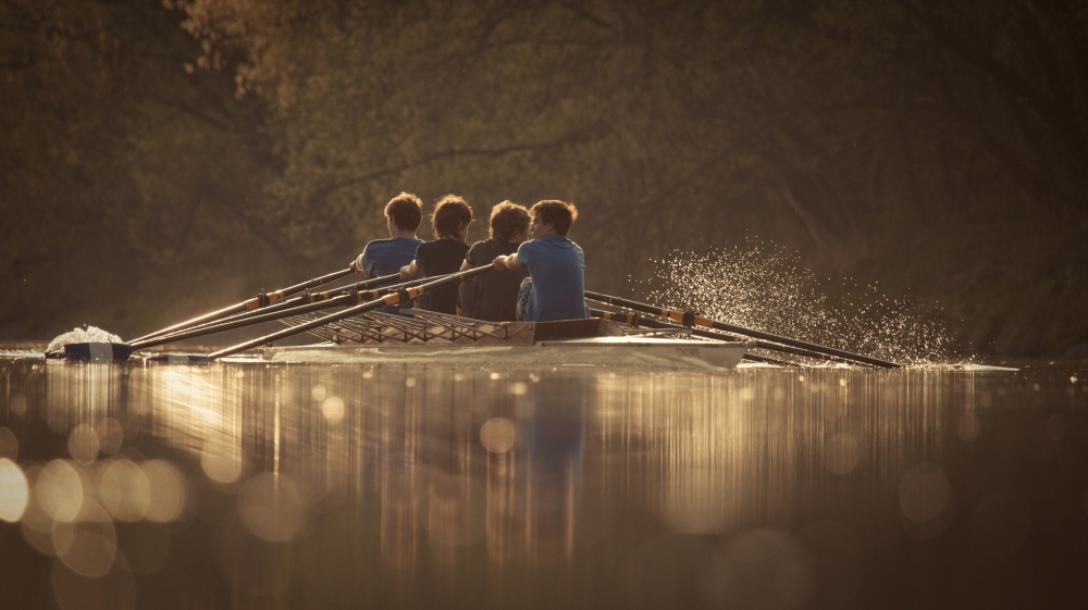 Team Rowing Golden Glow by Robert Adamec — canvas wall art