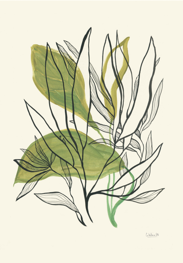 Modern Botanical Leaves by Catalina Somolinos — canvas wall art