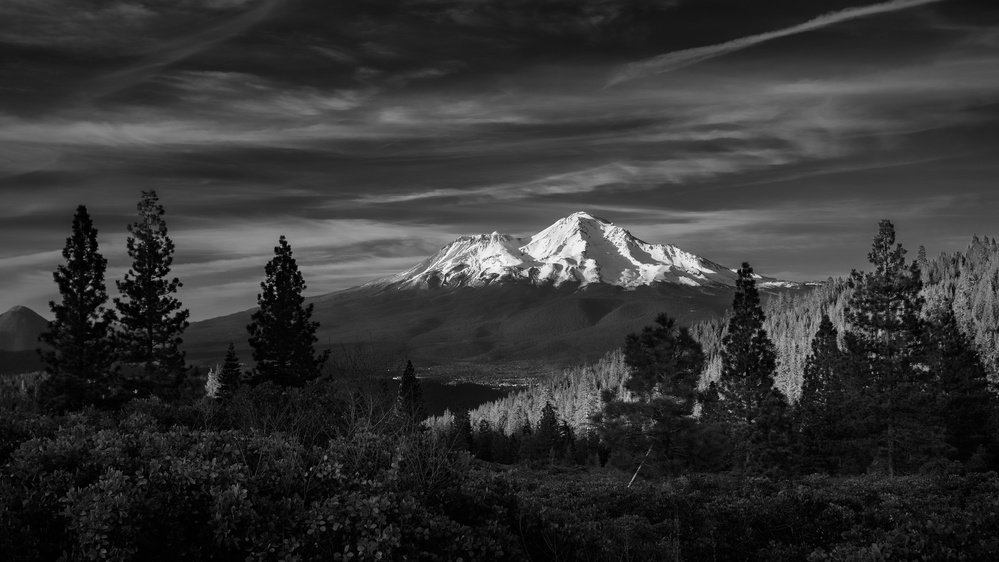 Majestic Snowy Mountain Forest by Atul Chopra — canvas wall art