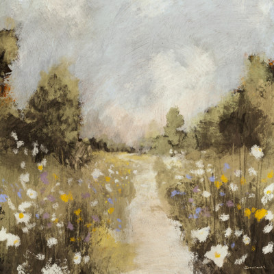Wildflower Meadow Path