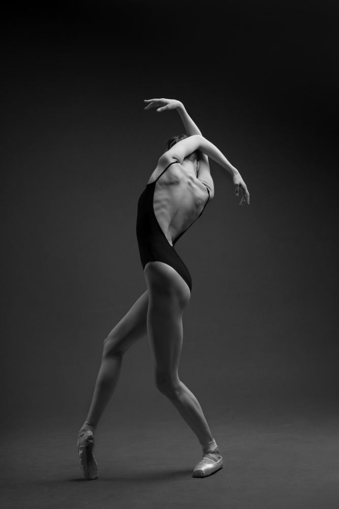 Graceful Ballet Dancer by Natalya Sleta — canvas wall art