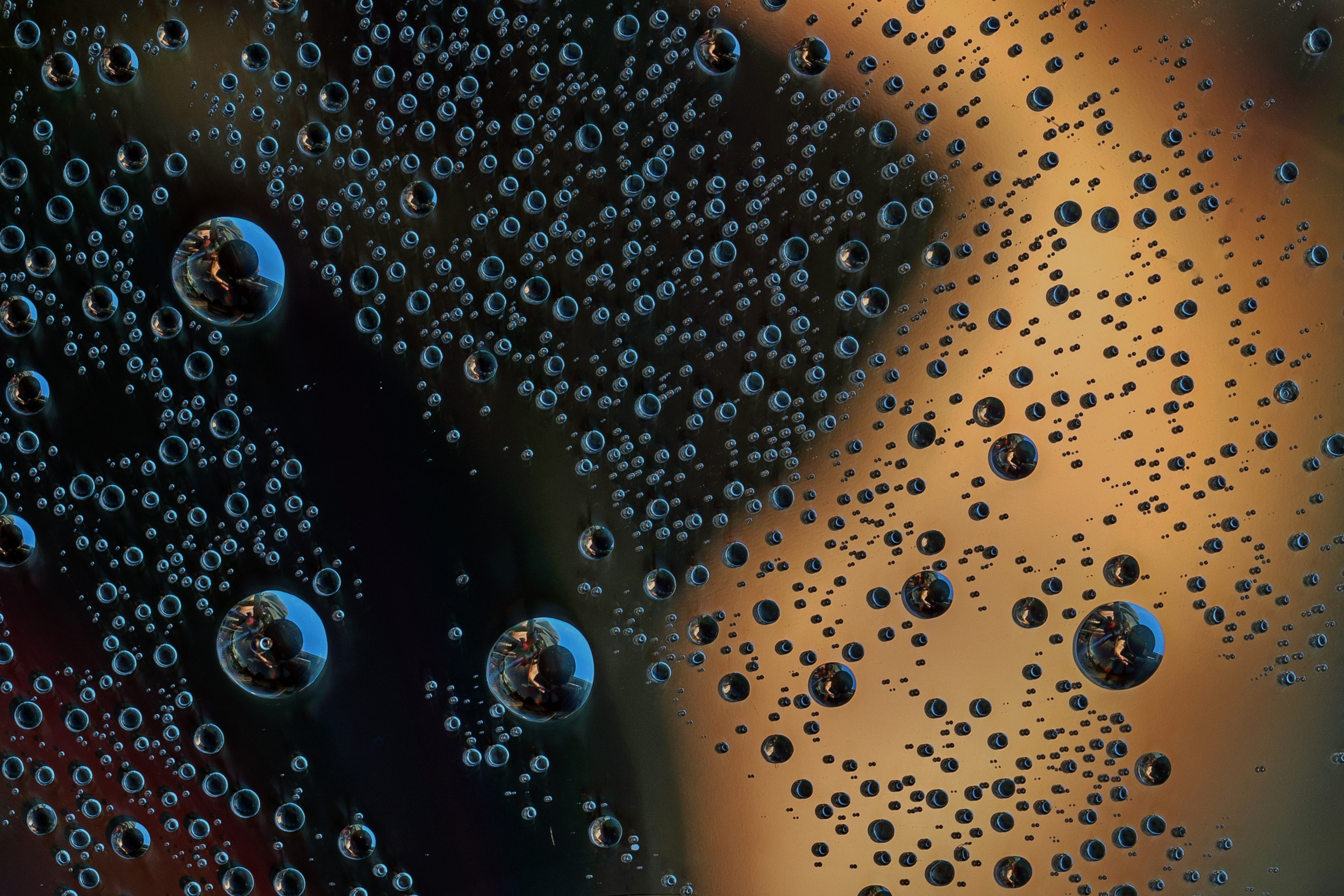 drops by Urs Zimmermann