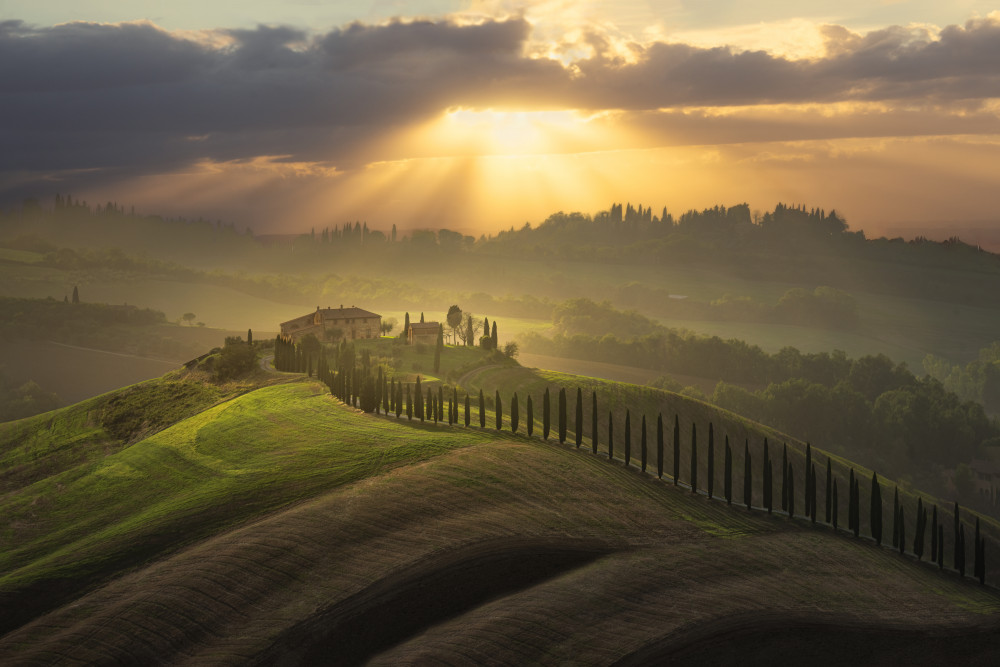 Golden Hour Tuscany by Leah Xu — canvas wall art