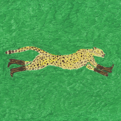 Florence the Running Cheetah