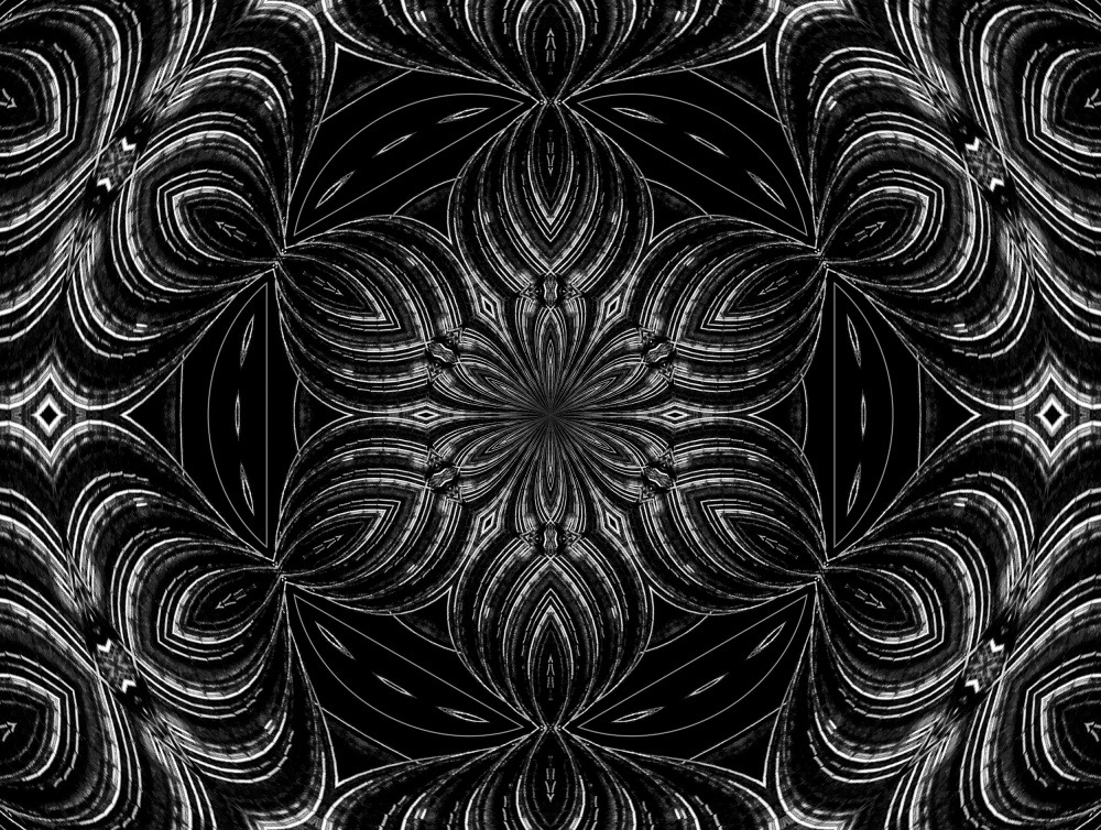 Symmetrical Flower Mandala by Miro Susta — canvas wall art