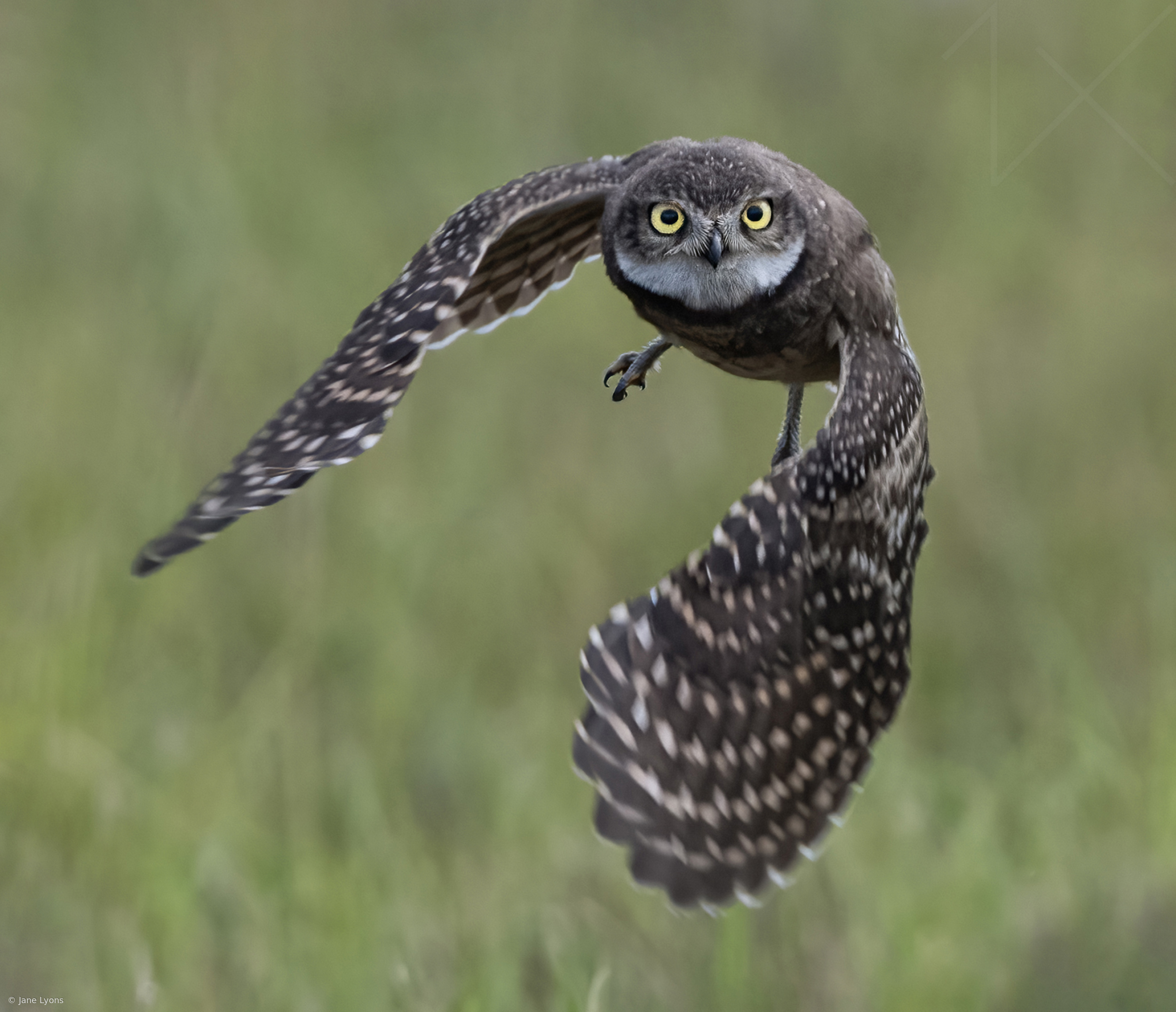 Incoming!
