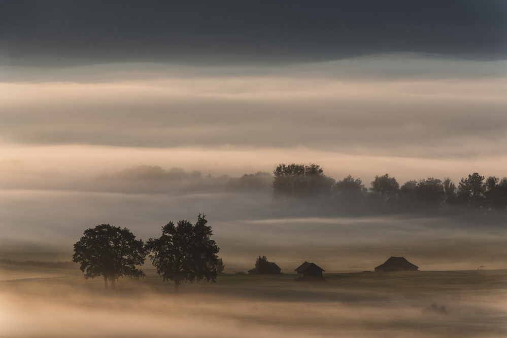 Tranquil Foggy Morning by Nina Pauli — canvas wall art