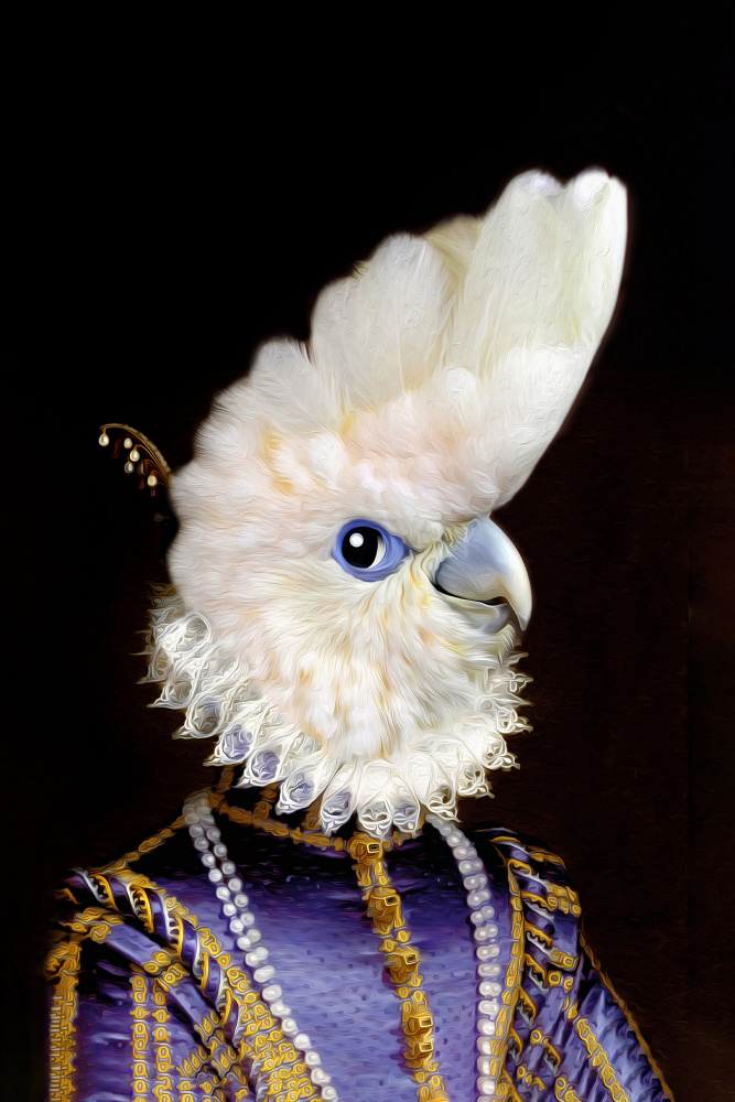 Kaka by Tein Lucasson — canvas wall art
