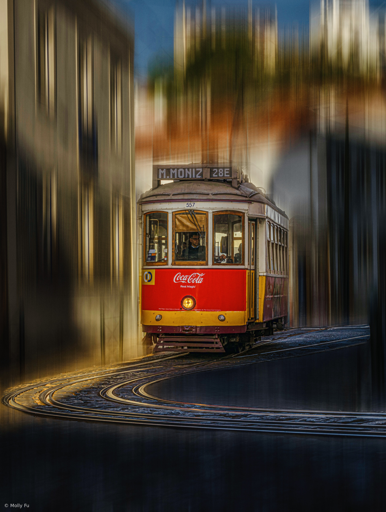 Tram 28E by Molly Fu