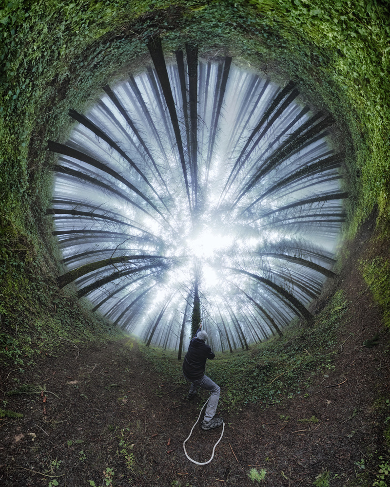 Spiral Forest Path by Francois Casanova — canvas wall art
