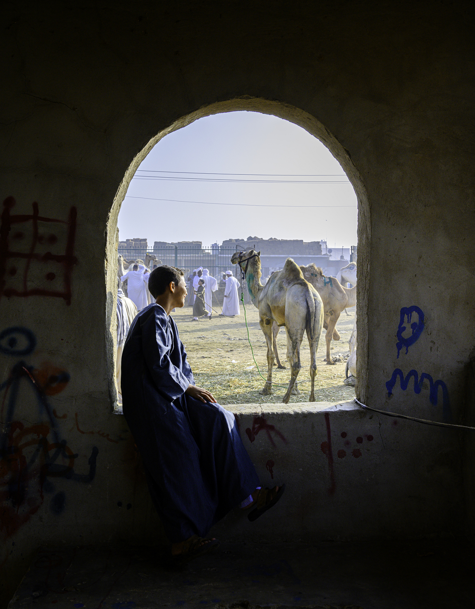 A view from the camel market