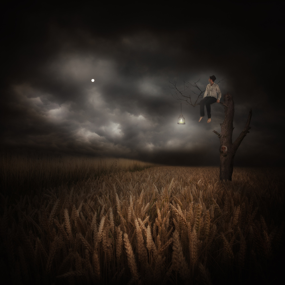 Lone Boy Night Field by Martin Marcisovsky — canvas wall art