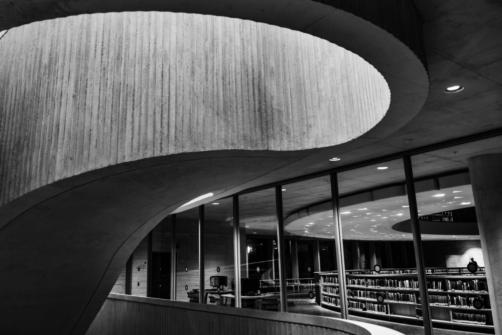 Modern Library Curves by Joshua Raif — canvas wall art